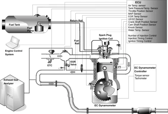 Fig. 1 Schematic diagram of experimental apparatus
