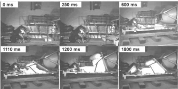 Fig. 33 Airbag assembly final testing result