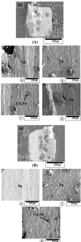 Fig. 7 EDS analysis of R Chip (before thermal shock test)