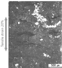 Fig. 6 Surface crack formation of a specimen by an ECD test