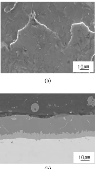 Fig. 3 SEM image views of Al-Si coated layer after hot  stamping; (a) surface (b) cross-section