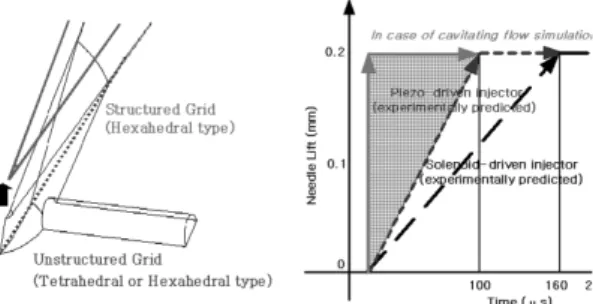Fig. 2 Computational geometry model and mesh of the  nozzle in injection hole at full lift needle condition