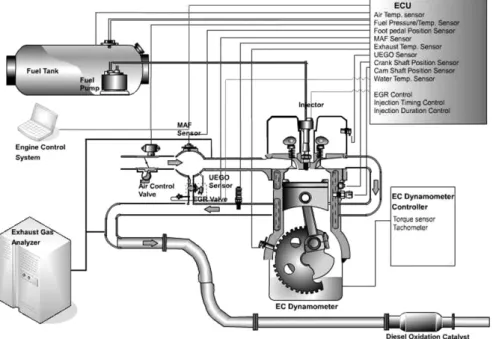Fig. 1 Schematic diagram of experimental apparatus
