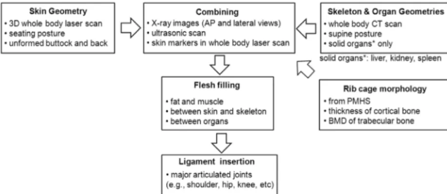 Fig. 8 Combining process of exterior and interior CAD geometries미지에  만들어진다.  소위  “thresholding-and-region growing technique”으로  명명된  기법을  이용한  같은 단면  위에  놓인  동일한  성분을  구별해  내는  자동  처리  방법이며, 여기서는  각  영역  내  한  화소가  선택된 후  다른  경계치를  만나  더  이상  성장하지  못  할  때