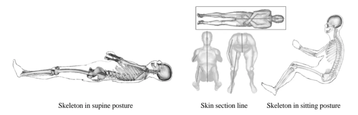 Fig. 10 Range of motion for trunk (lumbar spine) flexion 