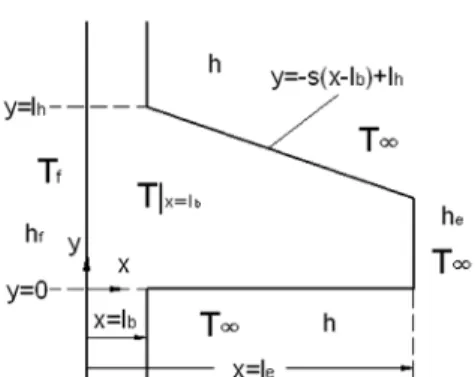 Fig. 1 Schematic diagram of a geometrically asymmetric fin