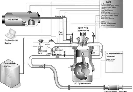 Fig. 1 Schematic diagram of experimental apparatus