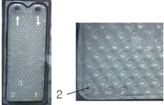 Fig. 7 Photo. of flow characteristics inside plate 