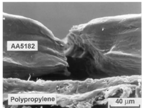 Fig. 11 SEM fractography of the thickness direction of the  sandwich sheet after room temperature tensile test