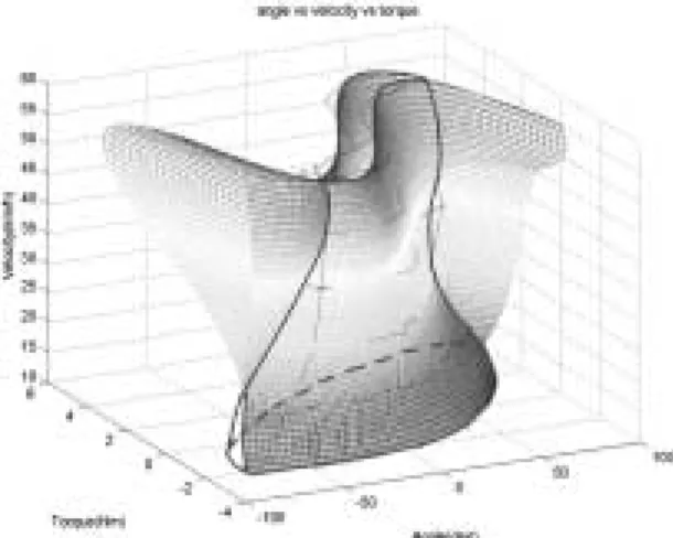 Fig. 6 Three dimensional torque map