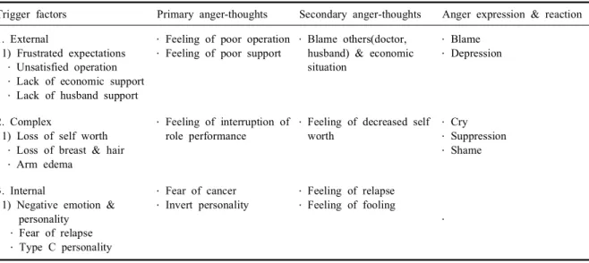Table 2. Anger process in people with breast cancer (N=8)