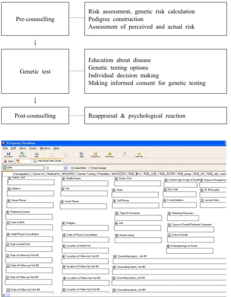 Fig. 2. Process of cancer ge- ge-netic counseling in the breast and ovarian cancer genetic counselling program specific for Korean women (KBOCGP).