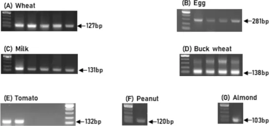Fig. 1. Detection of food allergen by PCR using species-specific primer. The results are shown by extracting only some of the products.