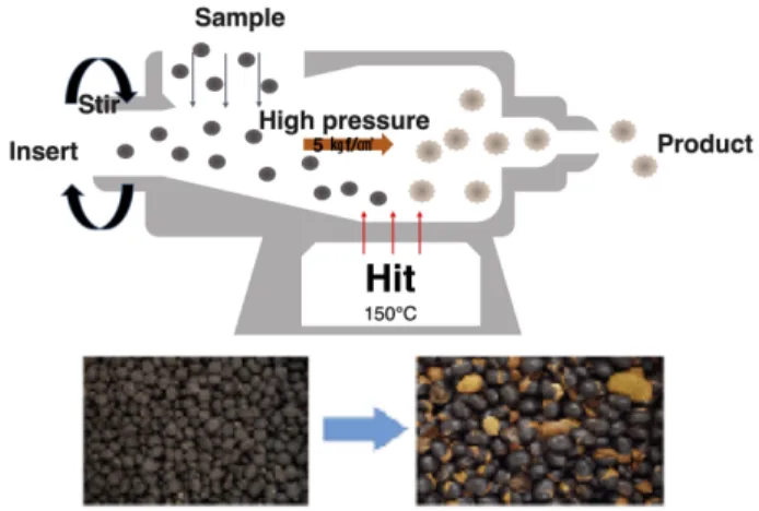 Fig. 1. Puffing process of black beans.