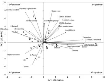 Fig. 4. Cluster analysis of volatile compounds (odor) in sample set using e-nose system