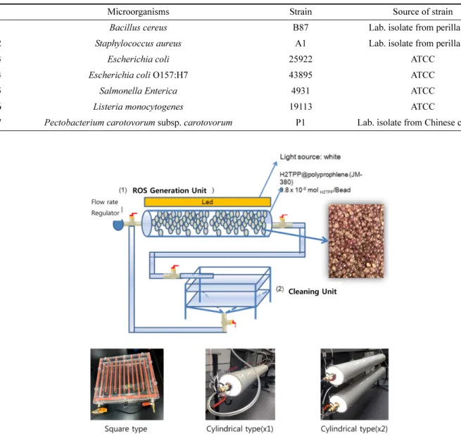 Fig. 1. Scheme on water disinfection device using three type of LED-PS induced ROS generation unit.
