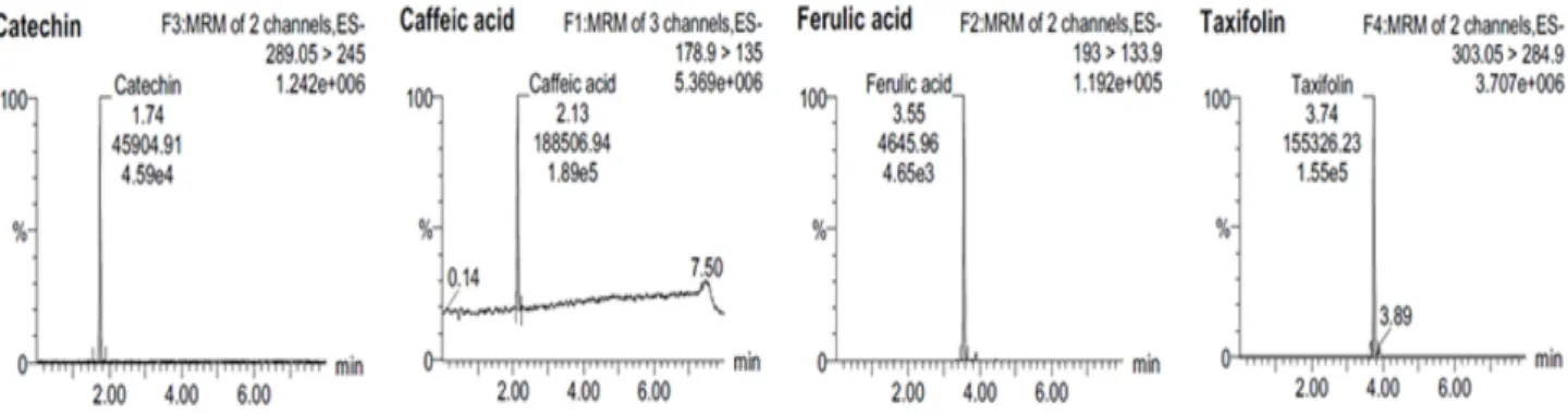Fig. 3. Chromatogram of catechin, caffeic acid, ferulic acid and taxifolin in sample.