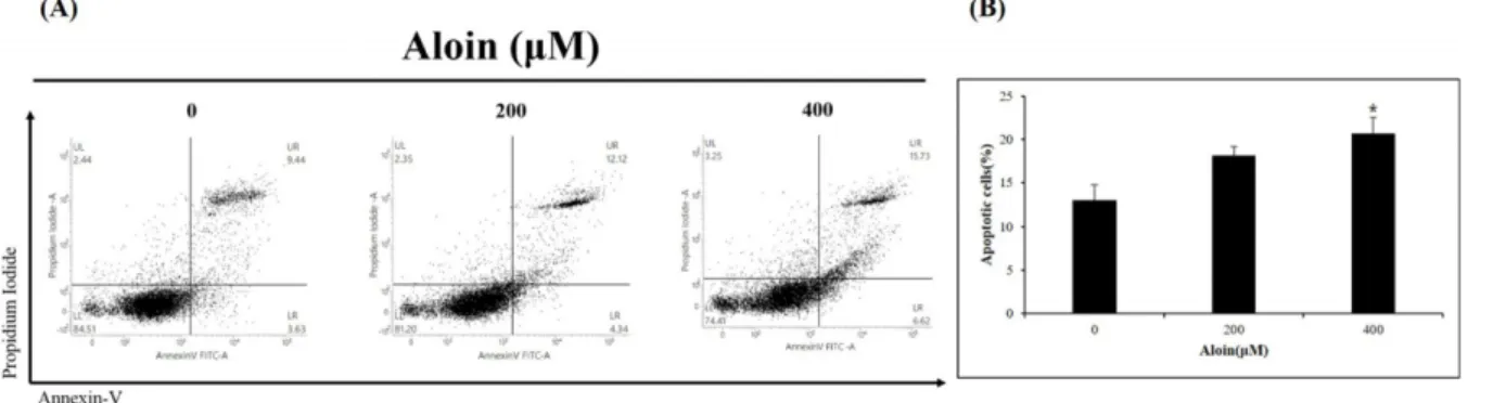 Fig. 5. The effect of aloin on apoptosis protein in HT-29 cells. HT-29 cells were treated with aloin (0, 200 and 400 μM) for 72 h and cells harvested to measure protein levels of PARP, Bax, Bcl-2, caspase-8, caspase-3, p-ERK1/2, p-p38, ERK1/2, p38 by weste