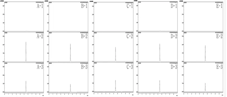 Fig. 3. Representative MRM (quantification ion) recovery chromatograms of oxytetracycline (461>426) corresponding to: (1) matrix- matrix-matched control, (2) standard solution at 0.05 mg/kg and (3) recovery test (fortified level: 0.1 mg/kg) in (A) hulle