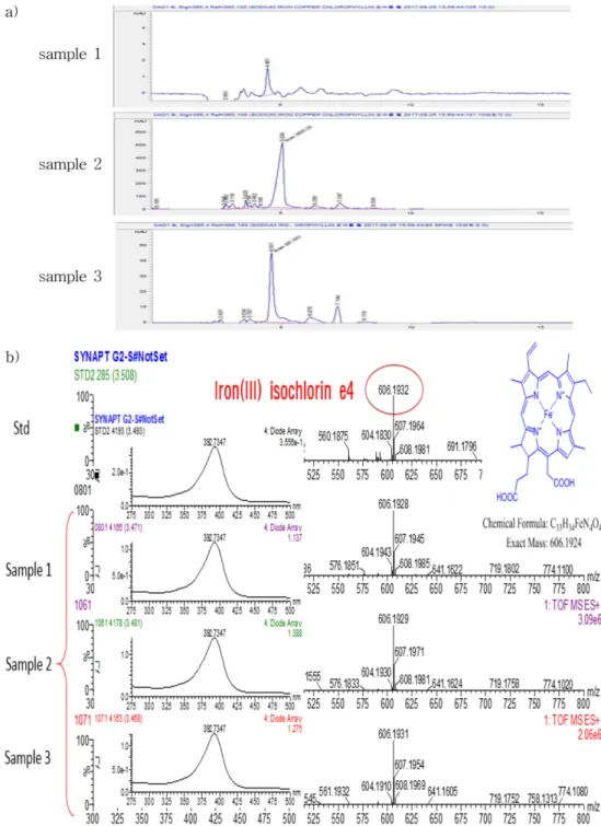 Fig. 4. HPLC and LC-MS chromatograms from positive sample of sodium iron chlorophyllin.