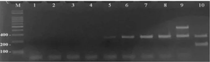 Table 1. Bacillus cereus cell counts (Log CFU/g; mean ± standard deviation) in enrichment broth samples inoculated at  1-Log CFU/mL (n = 4) Enrichment time (h) Incubated temperatures ( o C) 30 37 42 0 0.9 ± 0.4 Ac 0.9 ± 0.4  Ad 0.9 ± 0.4  Ad 3 2.5 ± 0.4  A