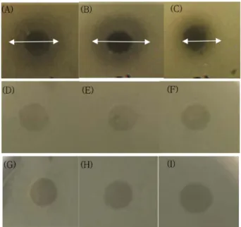 Fig. 3. Antibacterial activity by well diffusion assay. (A)-(C), Fermented mixture of aqueous extract and mountain ginseng;