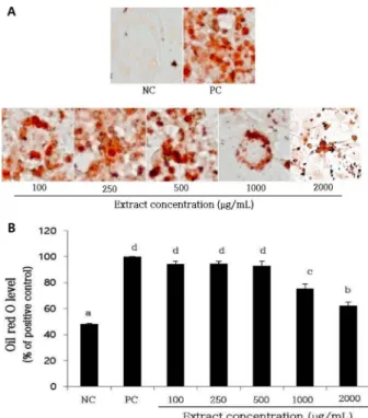 Fig. 1. Effect of Seakso 1 husk and cob extracts on cell viability in 3T3-L1 adipocytes