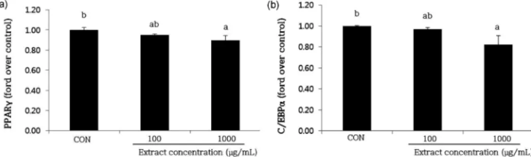 Fig. 4. Effect of Seakso 1 husk and cob extracts on PPARγ and C/EBPα protein expression in 3T3-L1 preadipocyte