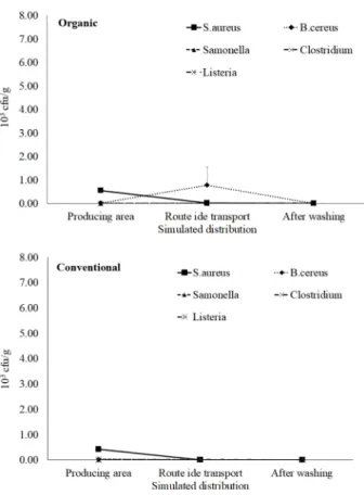 Fig. 2. Change of food poisoning bacteria from leaf surface of Kimchi cabbage from different locations by organic and  conven-tional farming