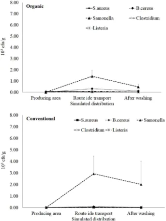 Fig. 4. Change of food poisoning bacteria from lettuce surface according to the type of cultivation method.