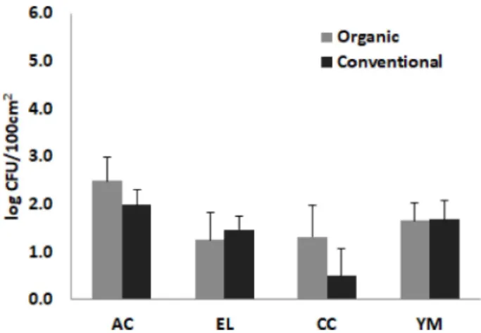 Fig. 2. Change of sanitary indicating bacteria numbers on kimchi cabbage leaf surface according to the type of cultivation method.