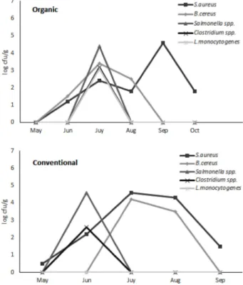 Fig. 3. Comparison of the number of toxin-producing bacteria on kimchi cabbage leaf surface according to the type of cultivation method