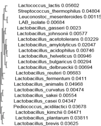 Fig. 1. β-glucosidase activity of lactic acid bacteria from Kimchi.