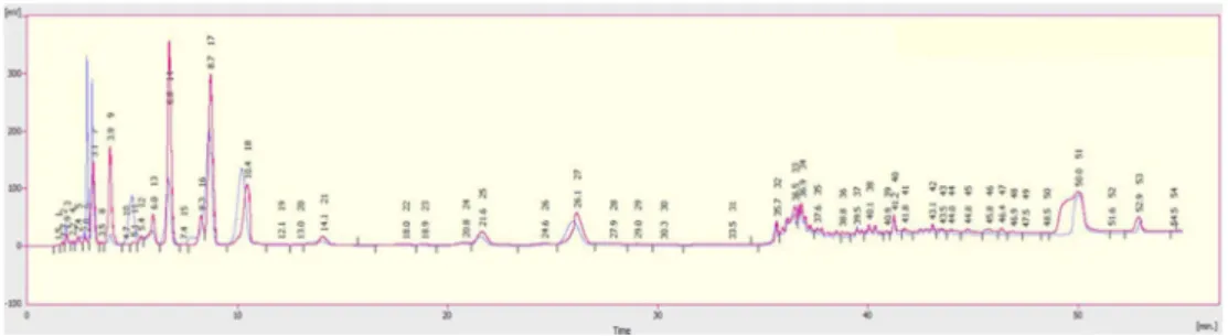 Fig. 4. Inhibition of C. difficile by supernatant of (A) Broccoli solute and (B) fermented broccoli.