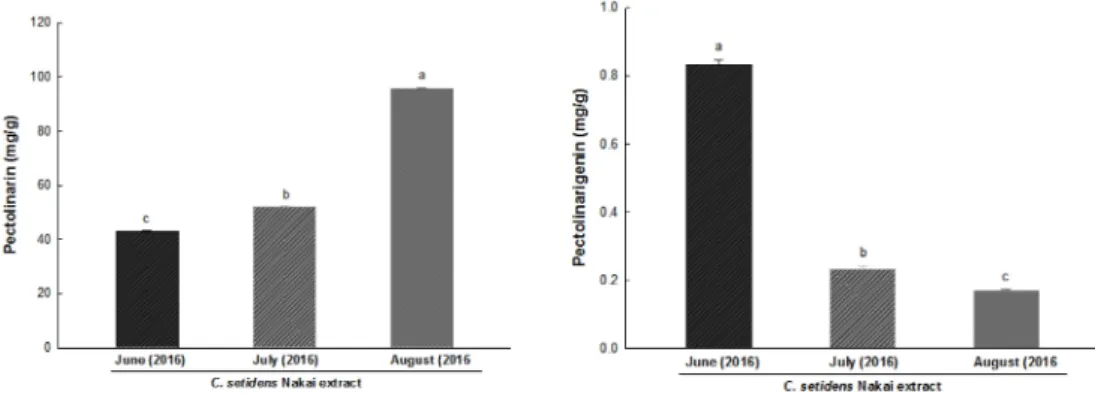 Fig. 1. HPLC chromatograms of standard mixture and C. setidens Nakai ethanolic extract at different harvesting times