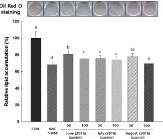 Fig. 7. Effect of C. setidens Nakai ethanolic extract at different harvesting times on lipid accumulation during adipogenesis of 3T3-L1 preadipocytes