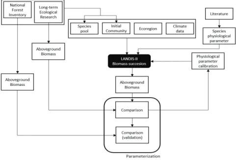 Fig.  2.  The  study  flow  for  LANDIS-II  Biomss-succession  parameterization.