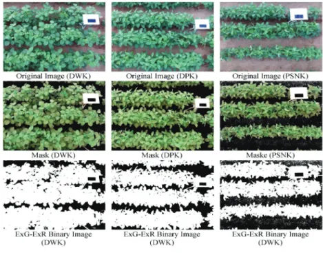 Fig. 1. Original and mask using the ExG-ExR binary image for soybean Daewonkong: DWK, Deapongkong: DPK, Pungsannamulkong: PSNK.