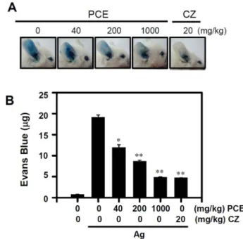 Fig. 6. Effect of Penthorum chinense extract (PCE) on IgE-medi- IgE-medi-ated passive cutaneous anaphylaxis (PCA)