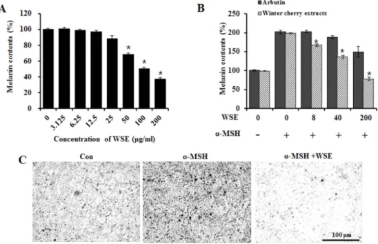 Fig. 4. Effect of Withania somnifera extract(WSE) on MITF, tyrosinase, and Tyrp-1 protein expression in α-MSH-stimulated B16-F10 mela- mela-noma cells