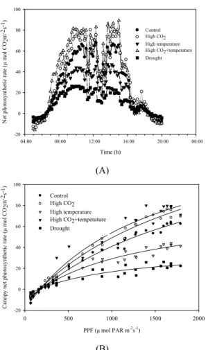Fig. 6. Example of daily canopy net photosynthesis  of soybean canopies grown at current climate  condition over entire growth period