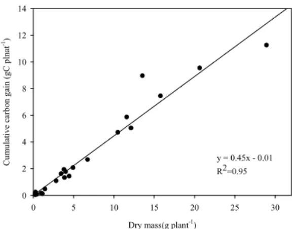 Fig. 7. Carbon balance comparing dry matter and total  carbon assimilation at each sampling period.