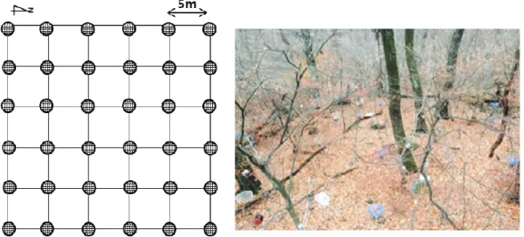 Fig. 2. Schematic representation of the Dixon model  (1976).