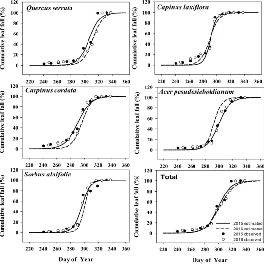 Fig. 4. Relationships of cumulative leaf fall between 2015 and 2016 in each species. Full line is 2015, and dashed line is 2016