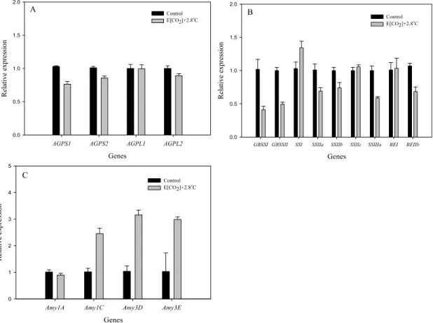 Fig. 4. Expression of genes for starch metabolism at present and in the future climate conditions