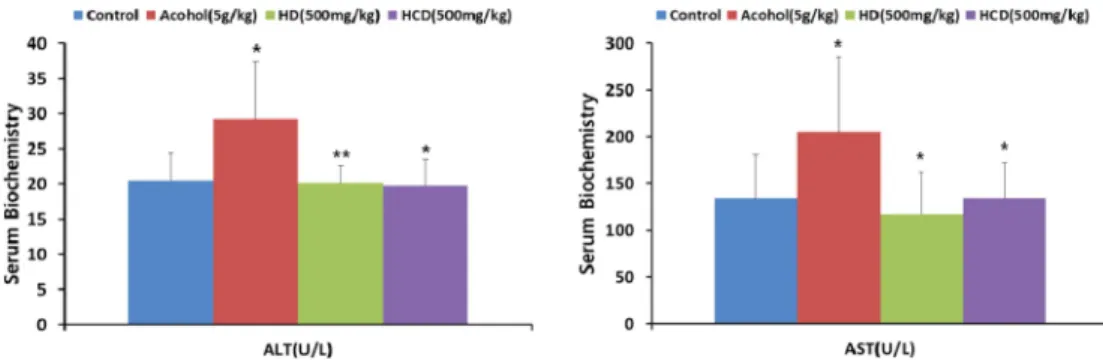 Fig. 1. Comparison of serum concentration of ALT and AST. Mice were fed with alcohol and HD or HCD for 7 days