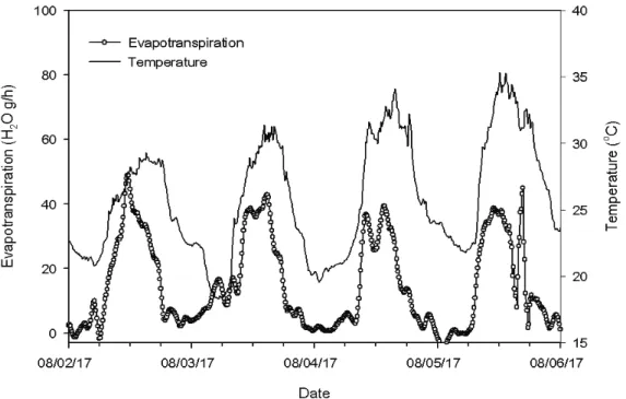 Fig. 3. Comparisons of evapotranspiration of Cnidium officinale Makino from lysimeter and air  temperature during the experiment period.
