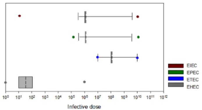 Fig. 4. Relative frequency (fi) ratio of pathogenic E. coli (A, EHEC; B, EPEC; C, ETEC; D, EIEC).