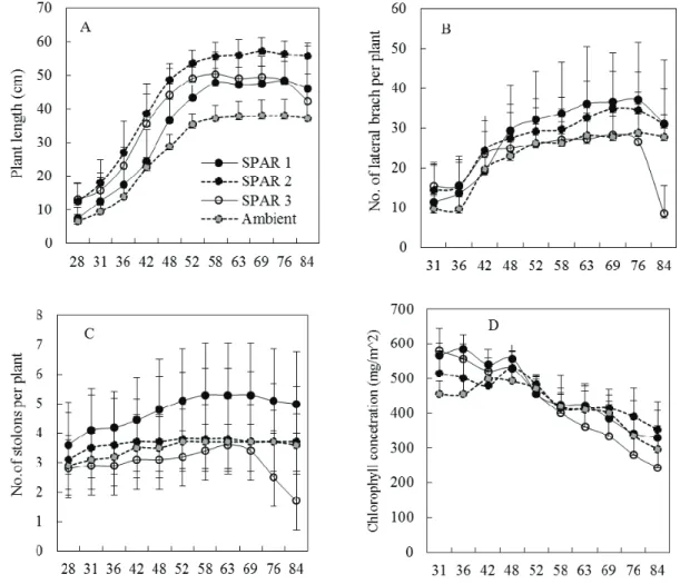 Fig. 3. Growth responses of tagged potatoes  by growth condition. Plant length (A), the number of lateral branch per plants (B), number of stolons per plant (C) and chlorophyll concentration (D)