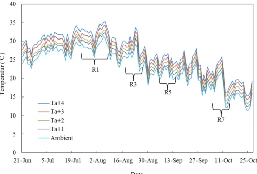 Fig. 1. Daily changes in mean air temperature at different temperature in a temperature-gradient chamber in 2017.